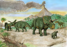 arrhinoceratops_and_albertosau_by_atrox1